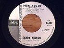 SANDY NELSON 45 PROMO  1966 Rare Find  