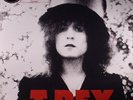 T REX - The Slider: 40th Anniversary - 180 gram vinyl LP + MP3 download code