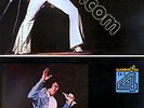 Elvis Presley Madison Square Garden Mint Japan Rare Quad Book Cover LP