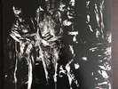 Nurse with Wound - Insect and Individual Silenced LP. Rare with insert. UD 08
