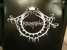 Triumphator - Wings Of Antichrist LP Marduk Satyricon Darkthrone Bathory Watain