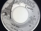 Florida Garage psych The Guild PARIS TOWER 130 In my mind / I believe her MP3