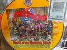 The Music Never Stopped: Roots of the Grateful Dead [Vinyl] PIcture Disc LP-RARE