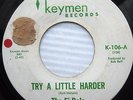 the FI-DELS Try A Little Harder You Never Do It Right NORTHERN SOUL 45 e15 HEAR