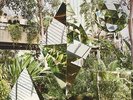 Clean Bandit - New Eyes