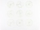RYAN TEAGUE-FIELD DRAWINGS -VINYL LP VILLAGE GREEN NEU