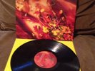 Paul Mccartney Flowers In The Dirt Lp  PCSD 106 UK Parlophone EX/EX