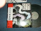 R.E.M. Japan 1984 NM LP+Obi RECKONING