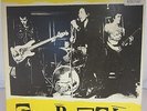 THE SEX PISTOLS - Never Trust a Hippy - vinyl LP - punk rock