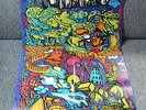 CRAVINKEL - GARDEN OF LONELINESS + POSTER        PHILIPS - Prog Rock Kraut