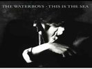 WATERBOYS THIS IS THE SEA (18TH MAY) VINYL LP NEW/MINT