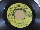 SKIP & THE 102’s dance of the seven veils KAY-BEE nw northwest garage psych 45