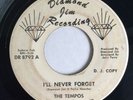 THE TEMPOS   I'll Never Forget / DJ Paradise  Diamond Jim northern soul promo 45
