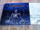 SORROW - HATRED AND DISGUST Record vinyl LP rare roadrunner death doom metal