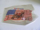 BRUCE SPRINGSTEEN BORN IN THE USA SHAPED PICTURE DISC