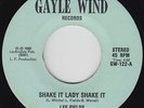 Modern Soul Funk 45 - Lee Fields - Shake It Lady Shake It - Gayle Wind - VG+ mp3