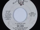 Crossover/Sweet Deep Soul 45 WES LEWIS It's Gonna Be Hard BLACK KAT HEAR