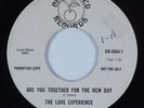 Funk/Sweet Soul 45 LOVE EXPERIENCE Are You Together For The New Day HEAR