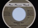 Funk Blues 45 MAGIC SLIM & TEARDROPS Wonder Why MEAN MISTREATER HEAR