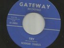 TEEN POPCORN DOOWOP - NORMAN CHARLES -  TRY - HEAR BOTH-1963 KING CUSTOM GATEWAY