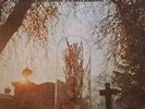 Aynsley Dunbar Retaliation, The - Remains To Be Heard Vinyl UK LP