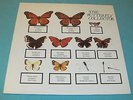 THE JAM the butterfly collector RARE DOUBLE ALBUM LP MOD GARAGE PSYCH NOT TMOQ