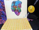 EXTRA CLEAN GOLD 1967 Elektra   LOVE   FOREVER CHANGES   Arthur Lee PSYCH Garage