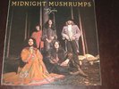 Gryphon rare '74 UK 1st press LP Midnight Mushrumps on TRA ** psych folk prog