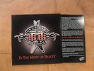 MICHAEL SCHENKER BARDEN - IN THE MIDST OF BEAUTY   NOTVD  1 LP scorpions ufo