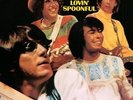 Hums Of The Lovin' Spoonful - Lovin' Spoonful (2003, Vinyl NEW)