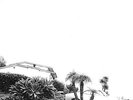 TIMBER TIMBRE-HOT DREAMS (LTD.COLOUR REPRESS+MP3)-VINYL LP FULL TIME NEW
