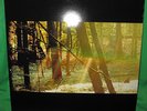 Camp LP Childish Gambino - Vinyl 2011 - OUT OF PRINT Community Donald Glover