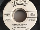 RARE Doo Wop 45 The Terracetones Apt Lbl. # 25016 MINT