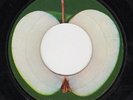 BEATLES 45 LONG AND WINDING ROAD ERROR BLANK APPLE LABEL 2832 SCRANTON