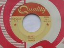 TWINKLE Terry / The boy of my dreams CANADA ORIG 1965 Quality 45 FEMALE TEEN POP