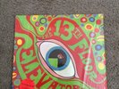 13TH FLOOR ELEVATORS Psychedelic Sounds 1966 RARE MONO IN SHRINK with OG Sticker