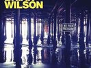 BRIAN WILSON NO PIER PRESSURE NEW DOUBLE VINYL LP IN STOCK BEACH BOYS