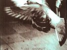 Vic Chesnutt - North Star Deserter [Vinyl New]