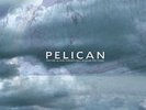 2xLP Pelican The Fire In Our Throats Will Beckon The Thaw WHITE, GATEFOLD