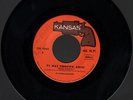 I CAMALEONTI TI DAI TROPPE ARIE cover The Merseybeats-Really Mystified I° 45 ITA