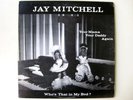 JAY MITCHELL rare Your Mama Your Daddy island funk soul LP LISTEN