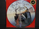 The Mars Volta Televators Eriatarka Limited to 5000 picture disc record #1161