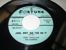 TONY VALLA & ALAMOS Jane Why Did You Do It 45 7