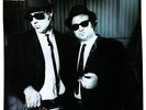 BLUES BROTHERS BRIEFCASE FULL OF BLUES LP VINYL BRAND NEW LTD ED COLURED VINYL