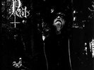 PEST - daudafaerd - LP 2004 - (No Colours Records)