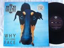 BIG COUNTRY WHY THE LONG FACE  vinyl UK LP