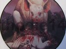 METALLICA - THE PIGS ARE ALRIGHT   2 LP  PICTURE-DISCs  FULL CONCERT
