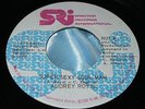 NM Hear Rare Miami Sister Funk 45: Audrey Royal - Super Sexy Soul Man on SRI