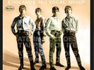 THE BEATLES INTRODUCING THE BEATLES VJ FANTASY COVER  