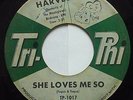 HARVEY usa 45 SHE LOVES ME SO/ANY WAY YOU WANTA 7